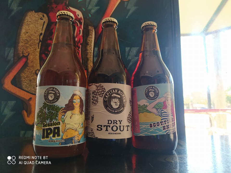 3 Cervezas Artesanales 500cc
