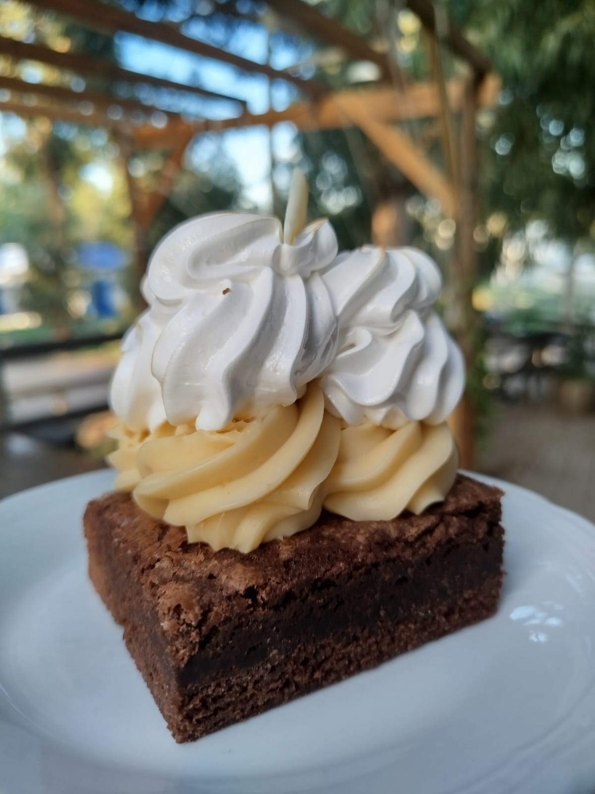 Browniemon