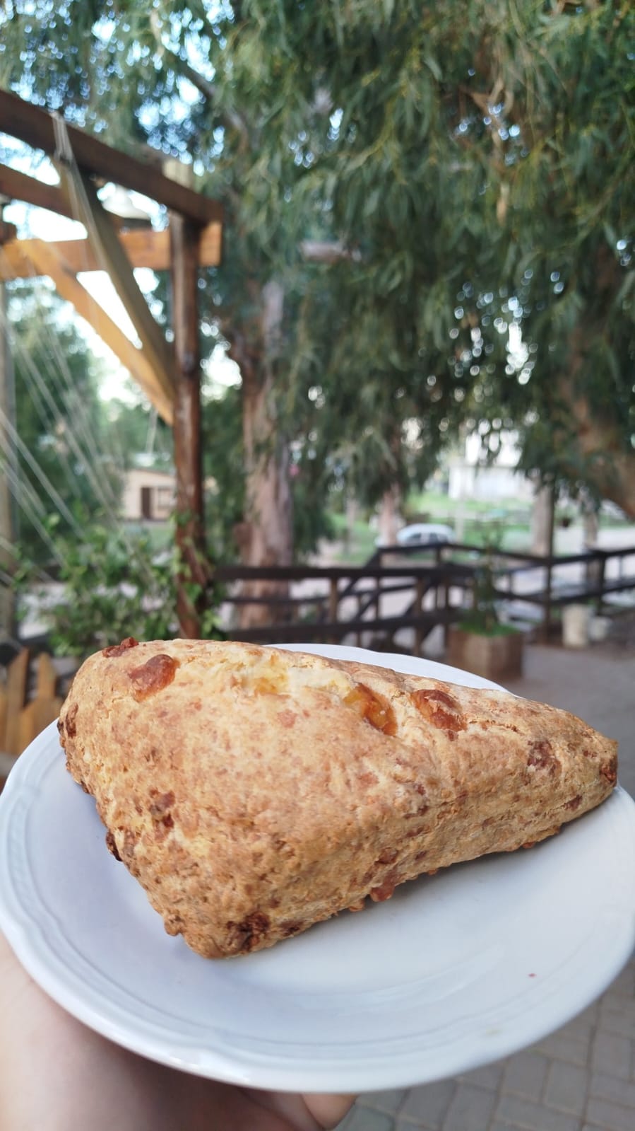 Scone De Queso Clásico