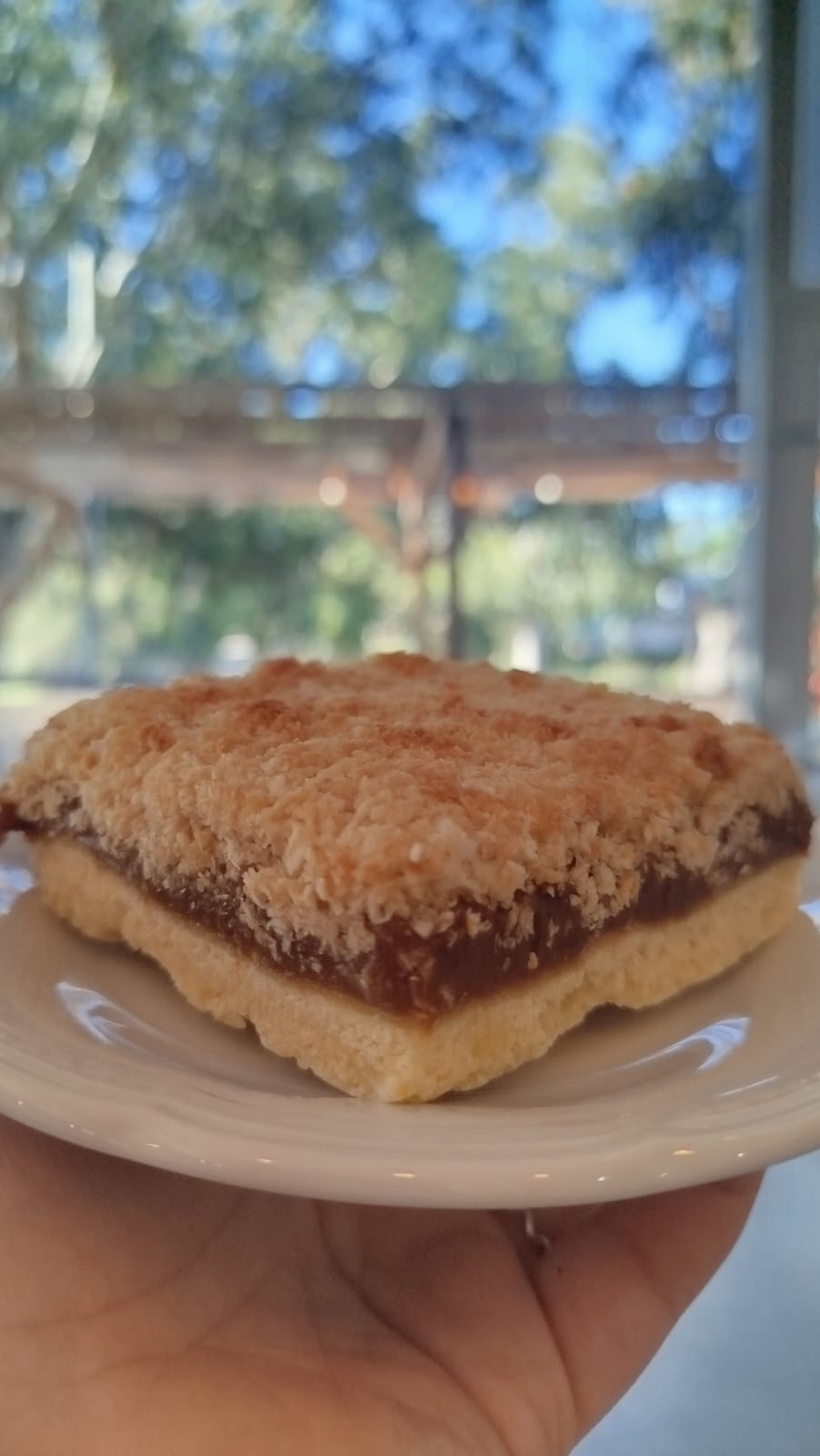 Cuadrado De Coco Y Dulce De Leche