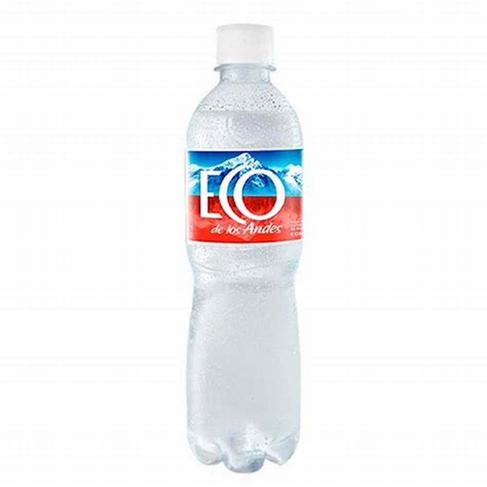 Agua Con Gas 500ml