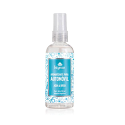 Aromatizante Para Auto Aqua & Brisa 100ml