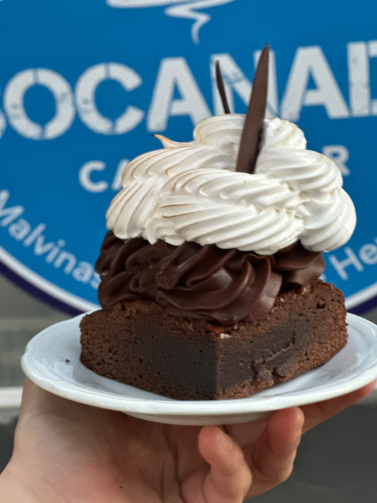 Brownie Bariloche