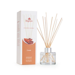 Difusor Canela 100ml