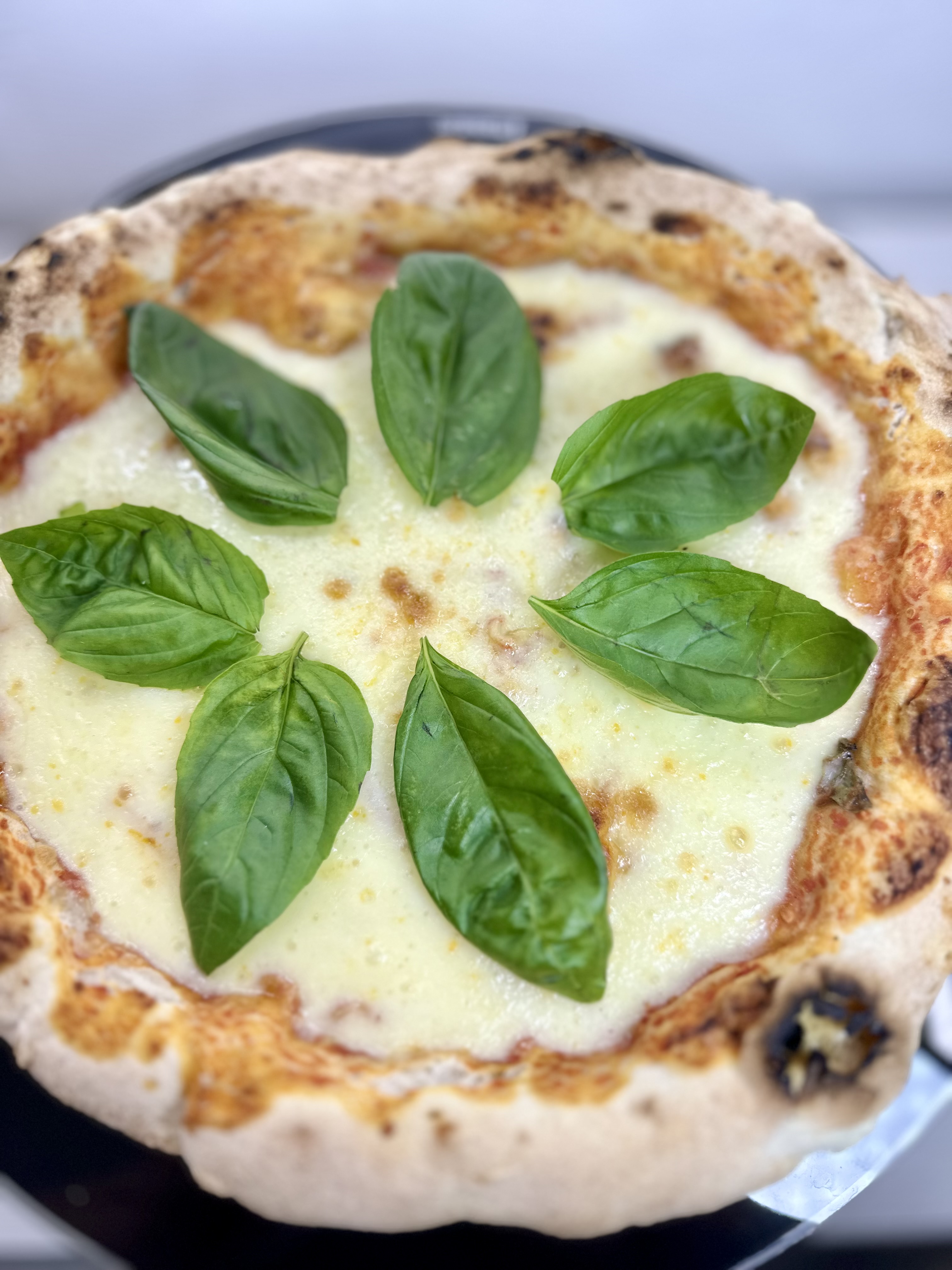 Pizza 1 | Pizzanómica
