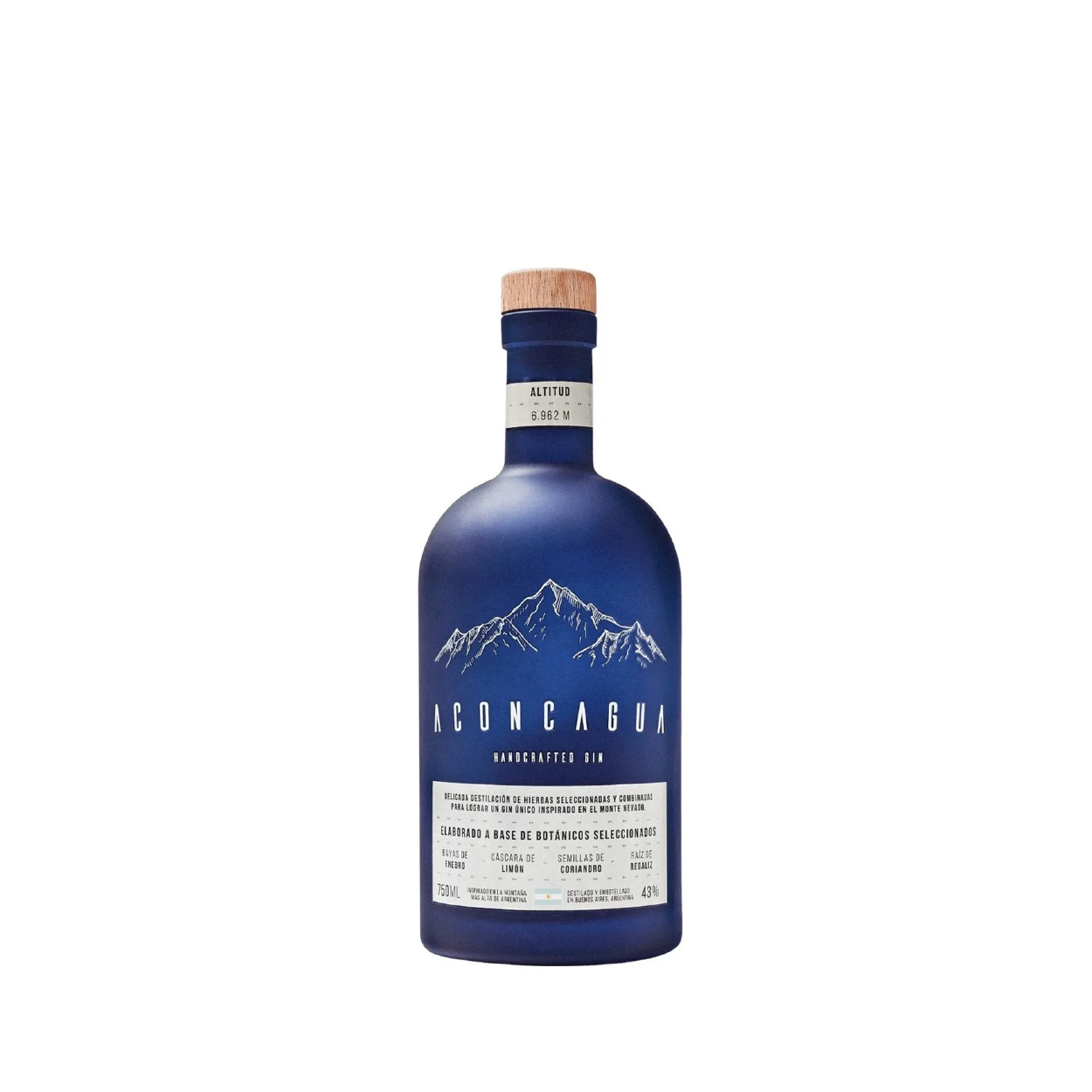 Aconcagua 
