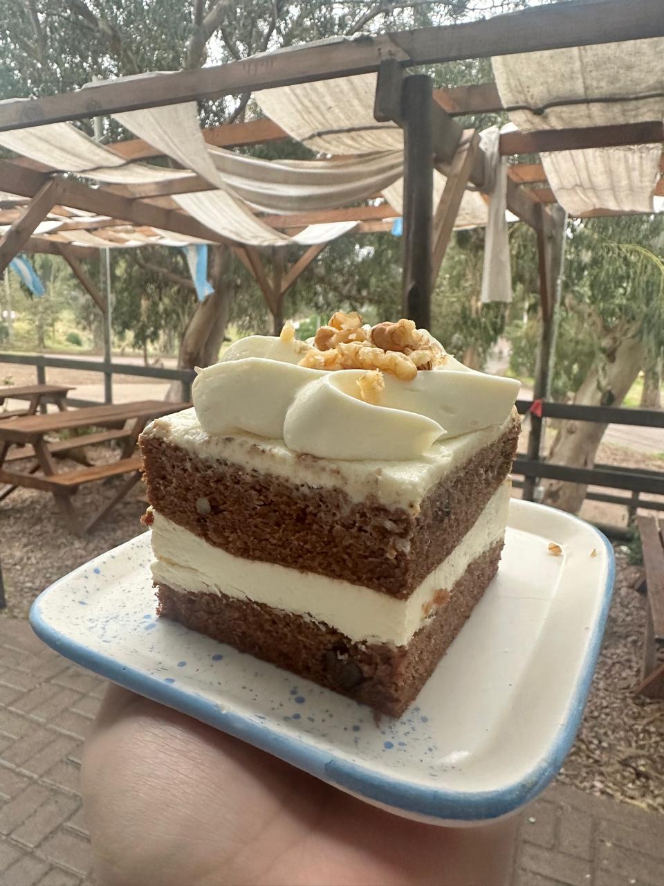 Carrot Cake