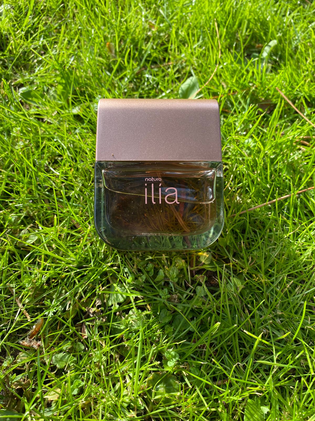 Ilia Clasico
