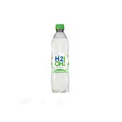 H2O 500cc