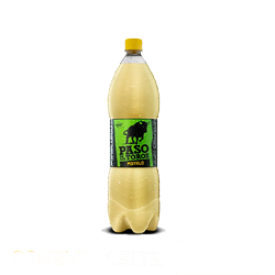 Paso de los Toros 1,5L