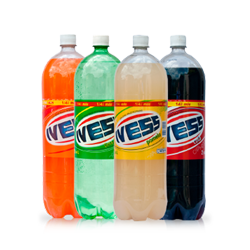 IVESS 1L