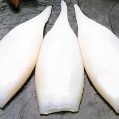 Tubo de calamar (1/2 kg)