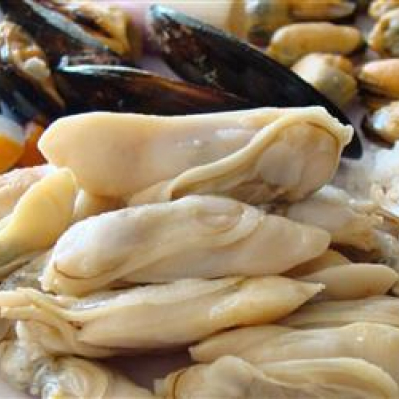 Almeja (1/2kg)