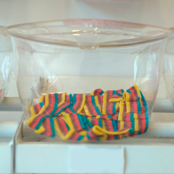 Cintas Ácidas Rainbow 100gr.