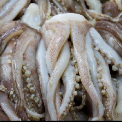Tentáculos (1/2 kg)
