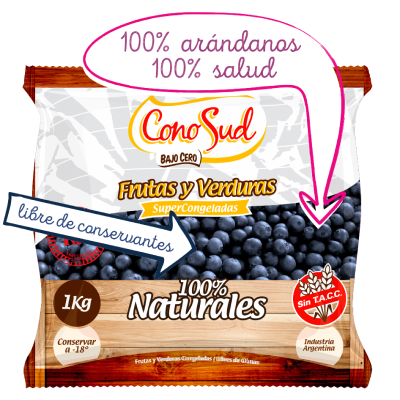 Arándanos  Cono Sud (1Kg)