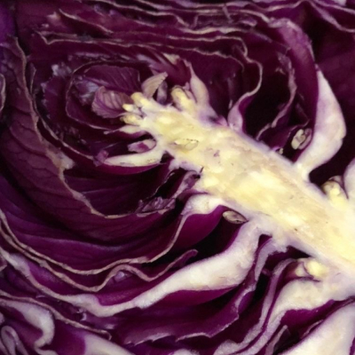 Repollo Morado 1Kg
