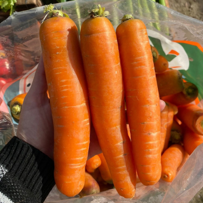 Zanahoria 2Kg