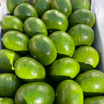 Zapallito Verde 2Kg