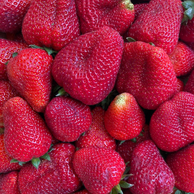 Frutillas 1Kg
