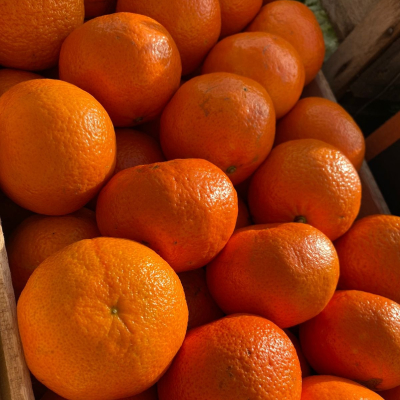 Naranja Ombligo 1Kg
