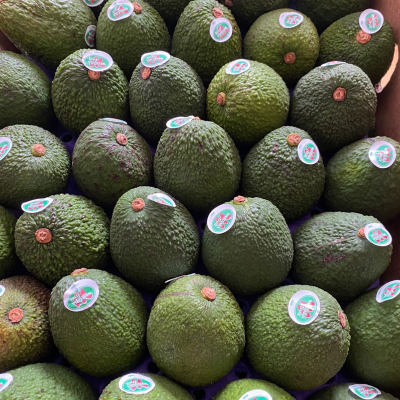 Palta 1Kg