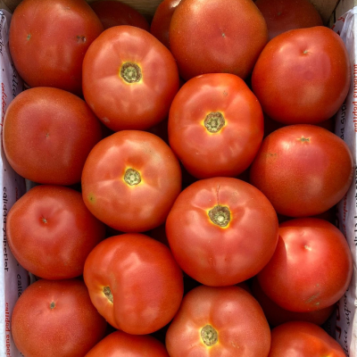 Tomate Lujo 1Kg
