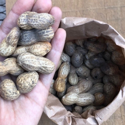Mani Con Cascara 200Gr